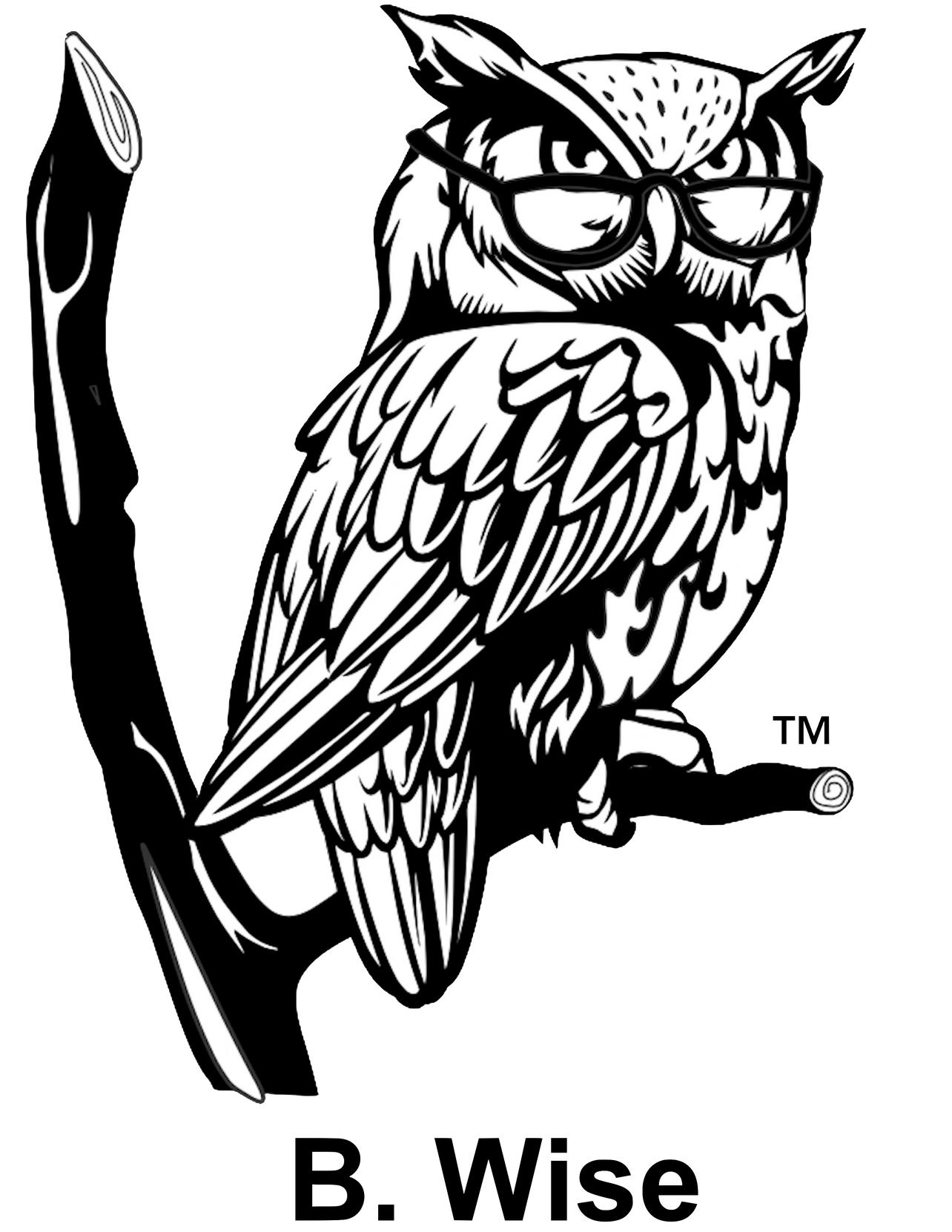 The logo for the owl consultants life insurance consulting firm. 