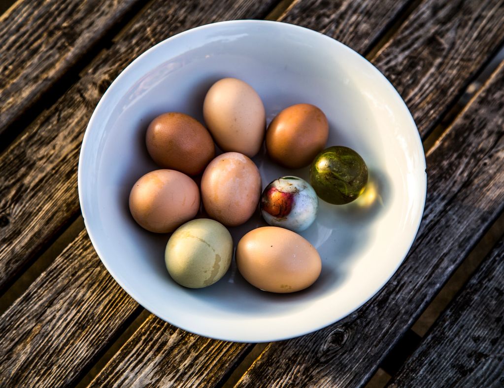 fine art photograph by Caroline McAllister depicting colorful eggs in a bowl, worn wood background