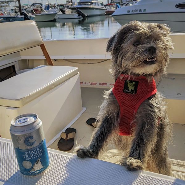 My dog, Benny. He is the heart of MaxWax Marine