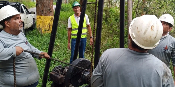 Workers with helmets operating machinery outdoors near trees.