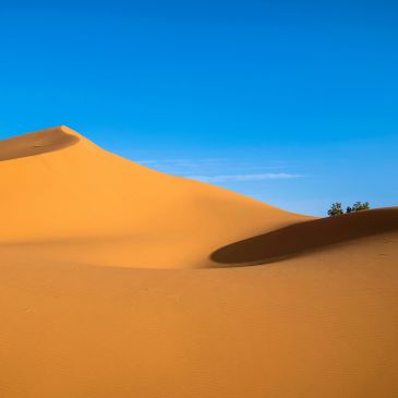 Golden sand dunes under a clear blue sky.