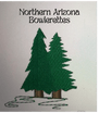 Northern AZ Bowlerettes
