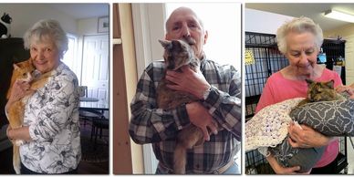 Elderly people holding and cuddling cats in a warm, homey setting.