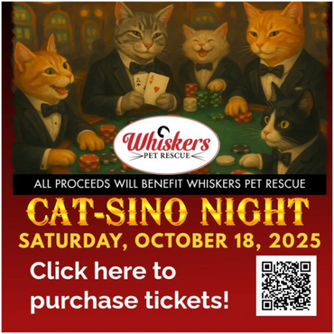 Cat-Sino Night Gala graphic