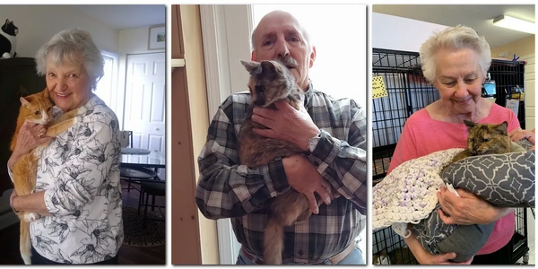 Three seniors happily holding cats in cozy home settings.