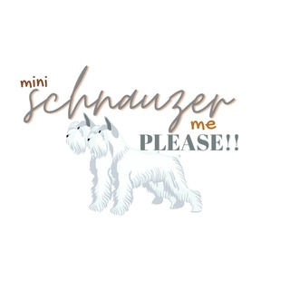 Schnauzer Me Please