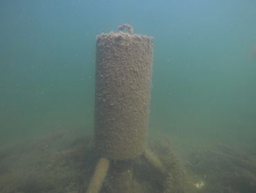 Underwater concrete structure covered in sediment.