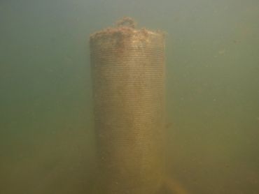 Underwater view of a cylindrical object covered in sediment.