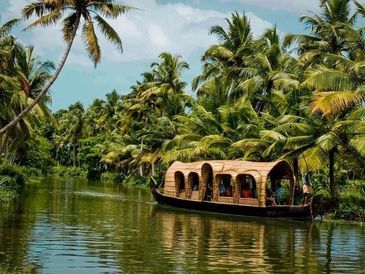 Houseboat on a tropical river surrounded by palm trees.