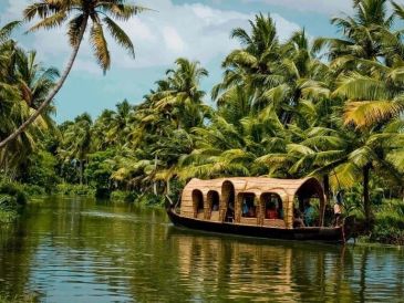 Boat cruising through lush palm-lined waterway.