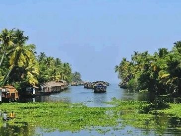 A serene river surrounded by lush greenery and palm trees.