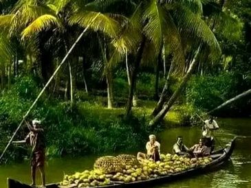 People on a boat full of coconuts in a river surrounded by palm trees.