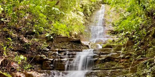 Scenic waterfall flowing through rocks and greenery.