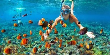 Snorkeler swims with clownfish in clear blue water.
