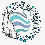 Sea Hare Aquatics