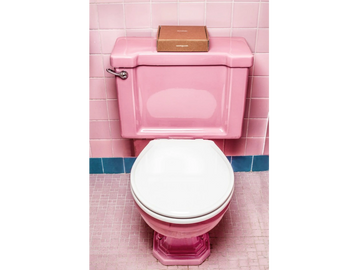 Toilet Install and Repairs