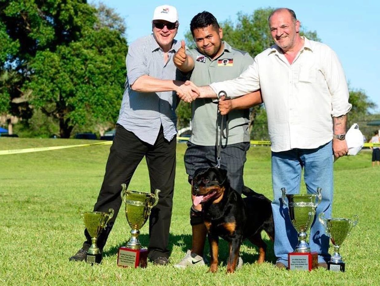 TOP ROTTWEILER BREEDER 