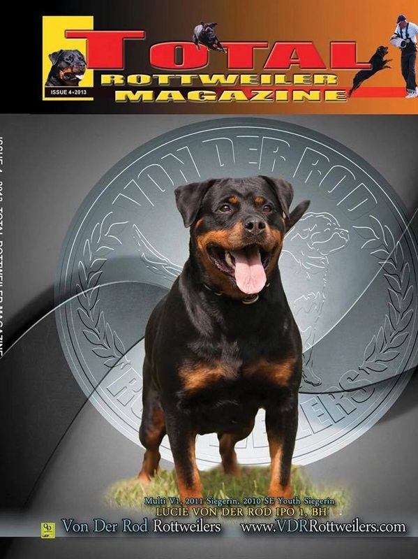 GERMAN ROTTWEILER 