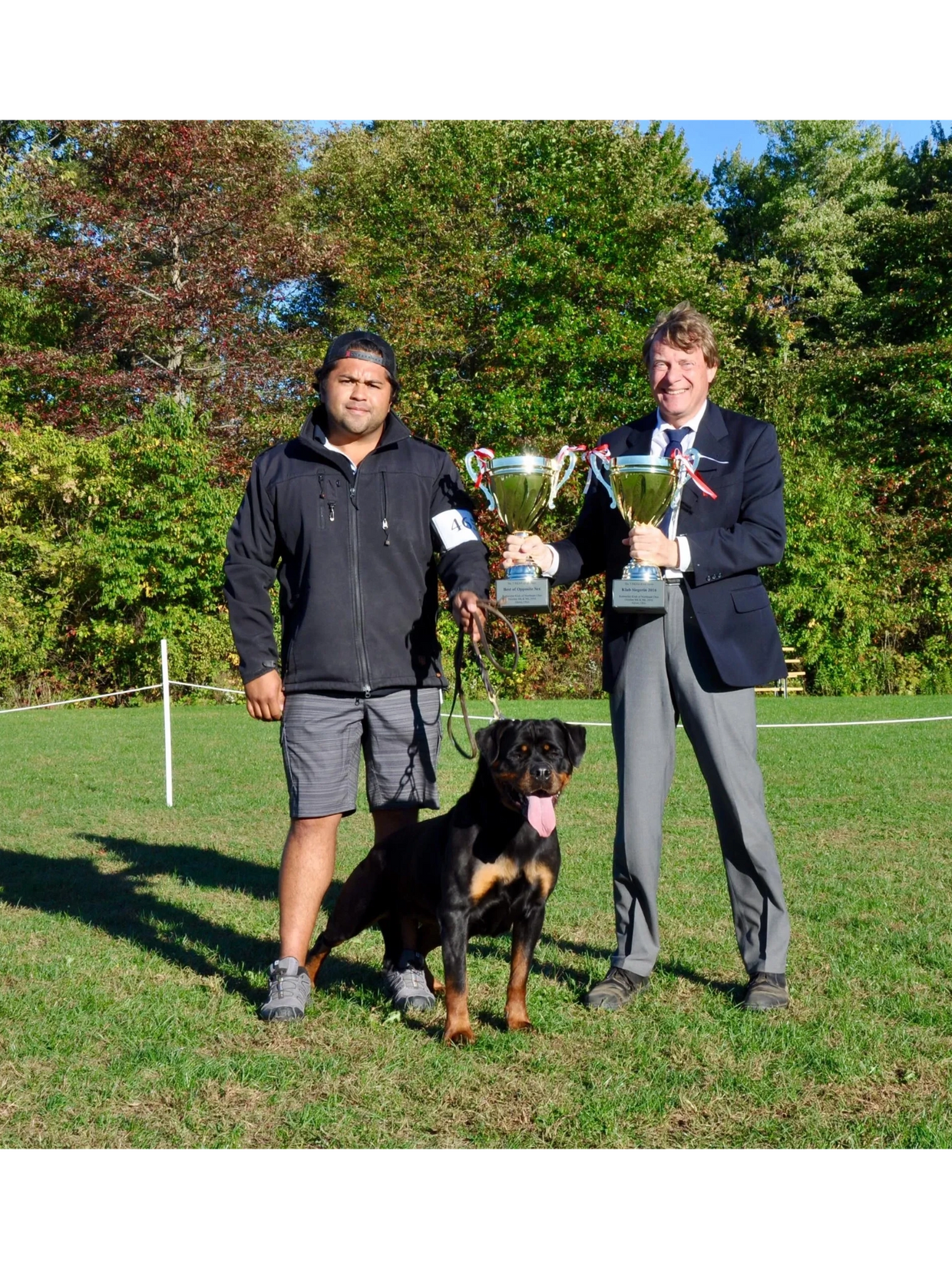 GERMAN ROTTWEILER BREEDER 