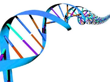 Gene test