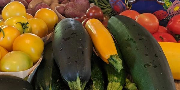 Summer harvest of zucchini, squash, tomatoes, green beans, potatoes