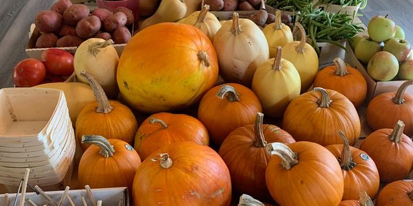 Garlic, squash, pie pumpkins for baking, green beans, lavender,apples