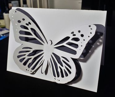 Fire Dizayn Stoughton, MA Personalized card butterfly stationary 