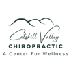 Catskill Valley Chiropractic 