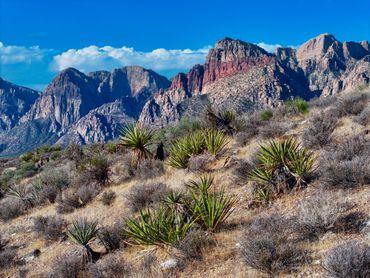 Red Rock Canyon in Las Vegas, Nevada