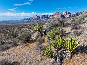 Red Rock Canyon in Las Vegas, Nevada
