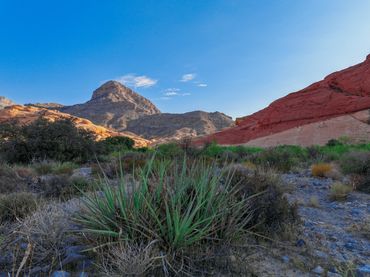 Red Rock Canyon in Las Vegas, Nevada