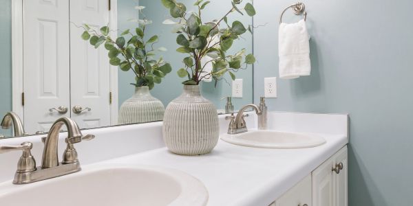 Modern bathroom vanity with dual sinks and decorative plant.