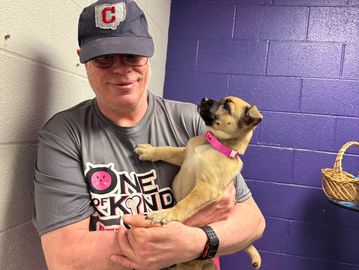 Man holding a small dog with a pink collar inside a room.