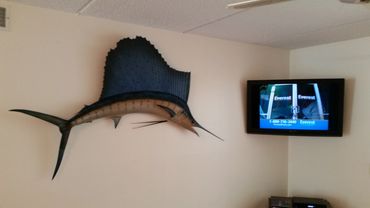 Mounted sailfish on wall next to a television screen.