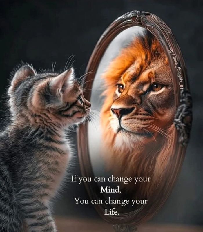 A small kitten looking  in a mirror sees a huge lion