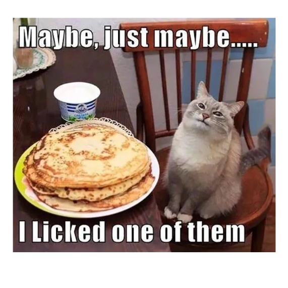 a very satisfied grey cat is looking at a large stack of pancakes - and may have liked one - or more