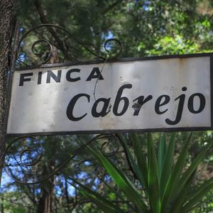 Guatemala Antigua Finca Cabrejo 2 - 12oz. Whole Bean