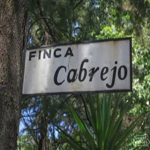 Guatemala Antigua Finca Cabrejo 2 - 8oz. Whole Bean