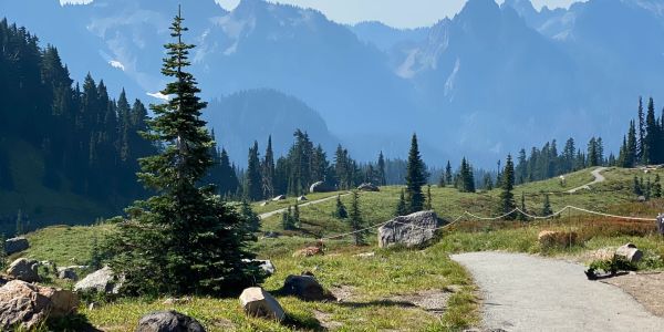 Mountain trail winding through a lush green valley under a clear blue sky.