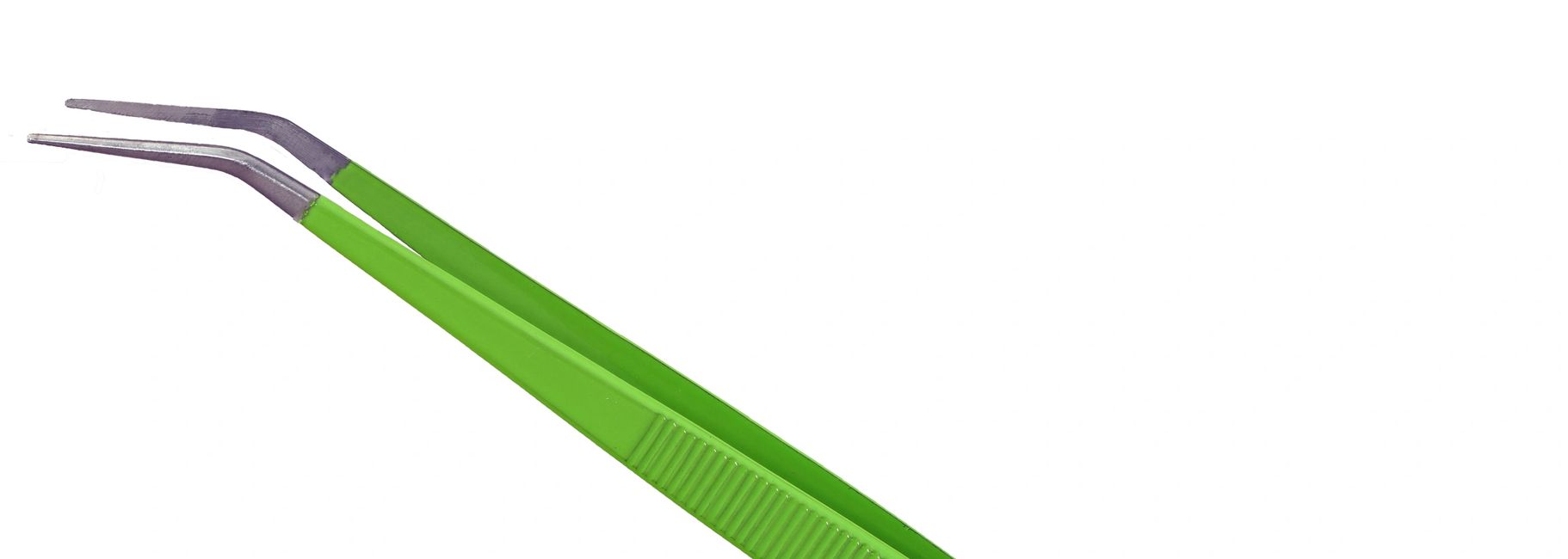 Chopstick and Succulents Succulents, Succulents How To