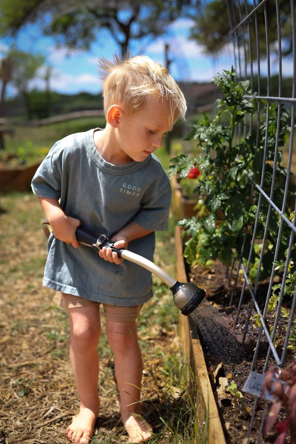 Gardening 