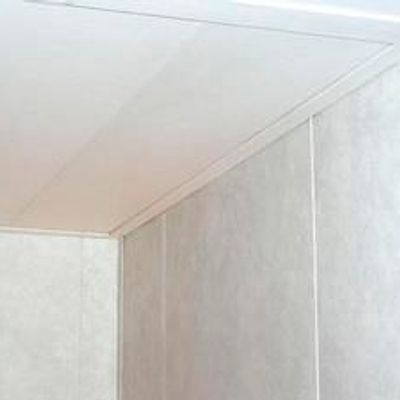 Ceiling Panel