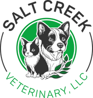 Salt Creek Vetrinary