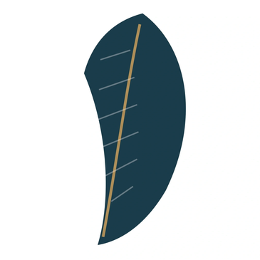 Minimalist dark blue leaf illustration with a simple vein.