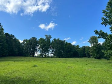 A green field under a bright blue sky with scattered clouds.