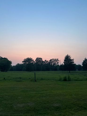 Calm sunset over a green field with silhouetted trees.
