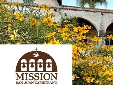 Yellow flowers bloom in front of the historic San Juan Capistrano Mission.