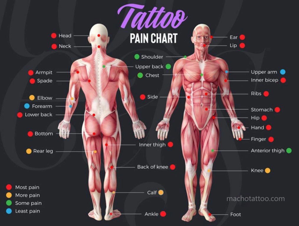 Mastering Tattoo Design: Where Art Meets Anatomy
