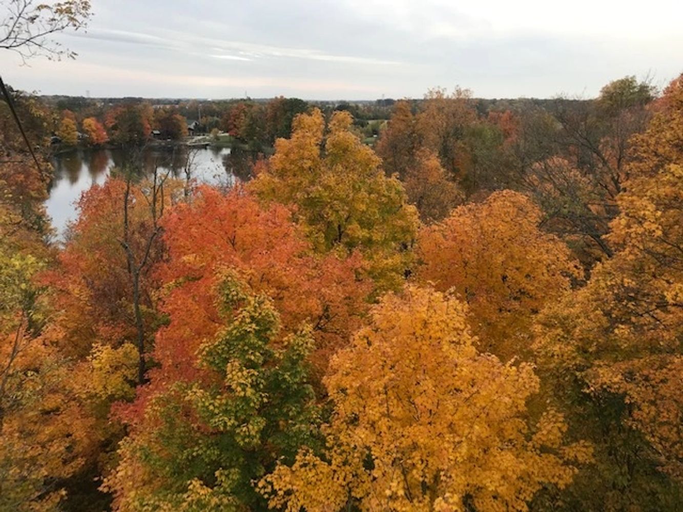 Hoosier Lawn Services