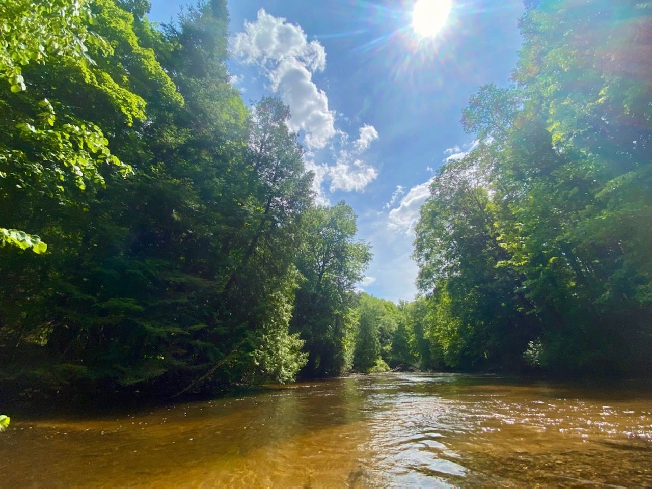 Betsie River Canoes and Campground Canoe/Kayak Rentals, Camping